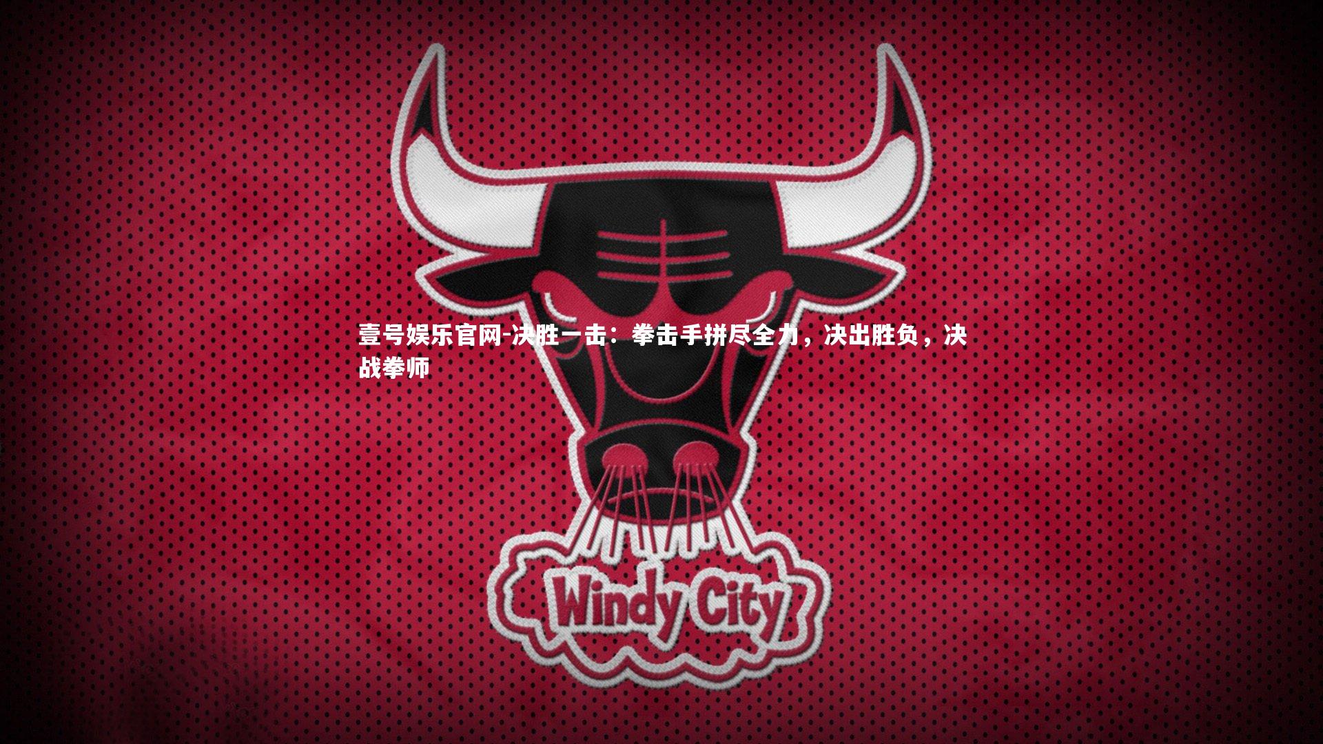 决胜一击：拳击手拼尽全力，决出胜负，决战拳师