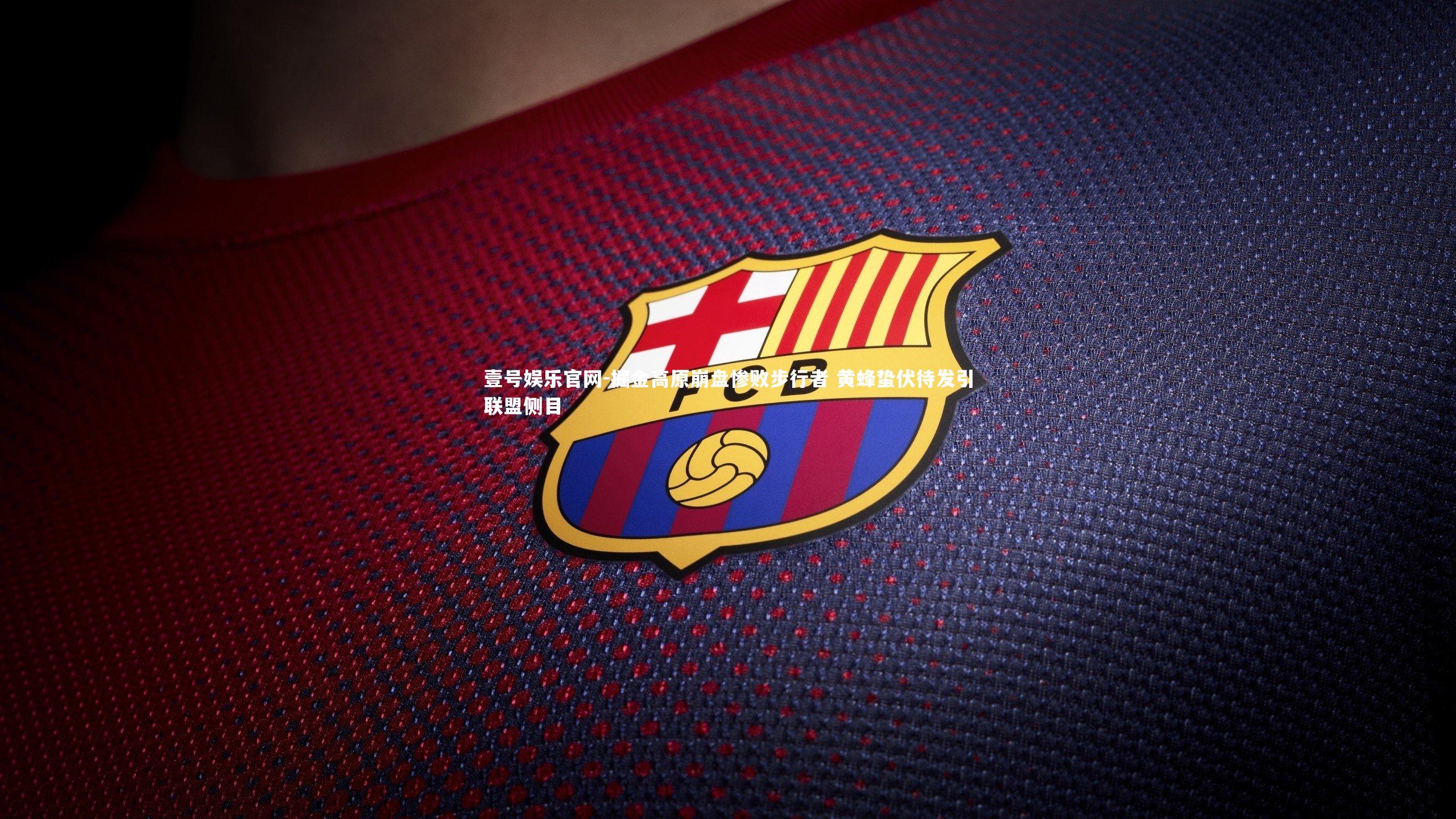 掘金高原崩盘惨败步行者 黄蜂蛰伏待发引联盟侧目